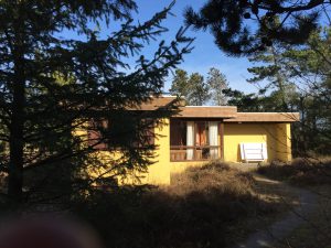 Sommerhus udefra