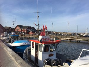 Ålbæk havn